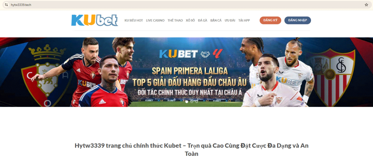 Trang chủ hytw3339